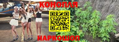сатива Кингисепп